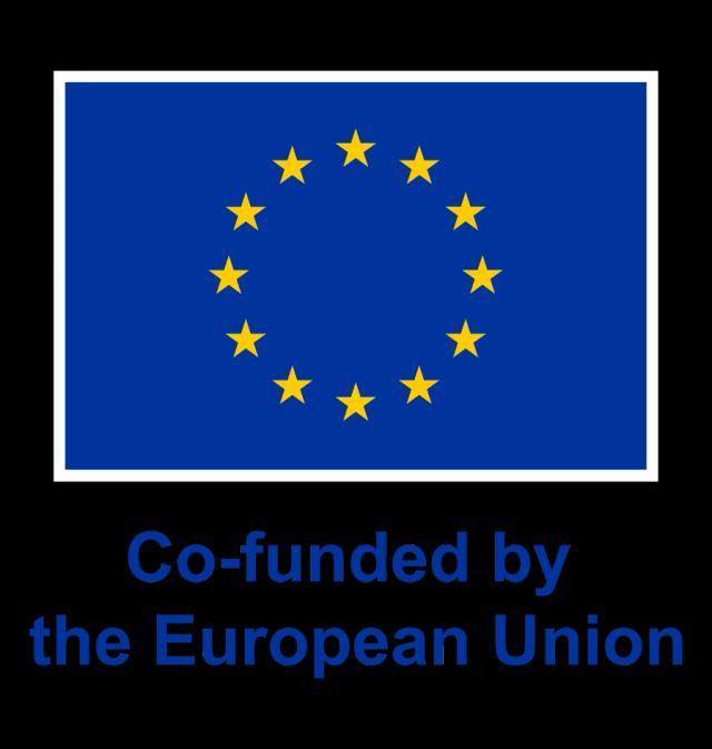 EU flag with the text Co-funded by the European Union