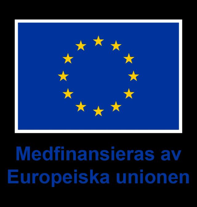 EU-flagga med texten Medfinansieras av Europeiska unionen